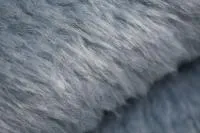 DSC_2876